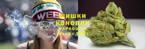скорость Ельня