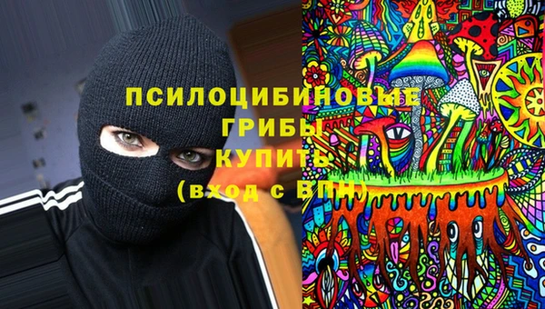 дмт Заводоуковск