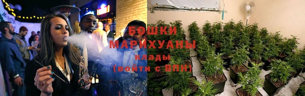 дмт Заводоуковск