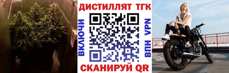 гидра зеркало продажа наркотиков Свирск ТГК THC oil